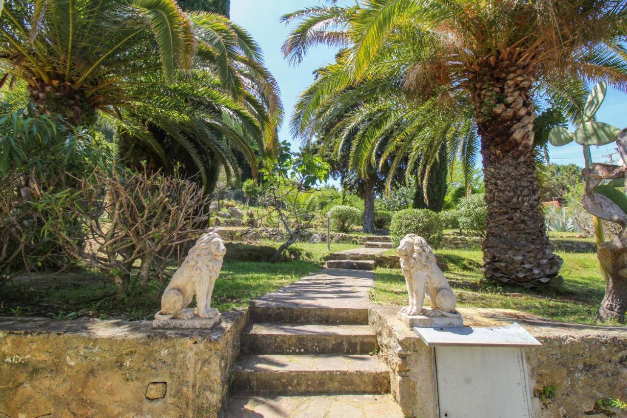 Casa Panoramica Bouganville Sant'Andrea  Ngoại thất bức ảnh